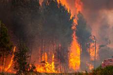 Incendies de forêts : l’ANEF publie les cartes précises des zones à risque