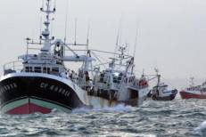 Les professionnels marocains et mauritaniens de la pêche s’engagent pour une gestion durable des stocks partagés de petits pélagiques