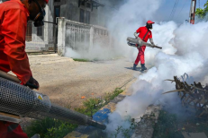 La dengue refait une inquiétante apparition au Bangladesh