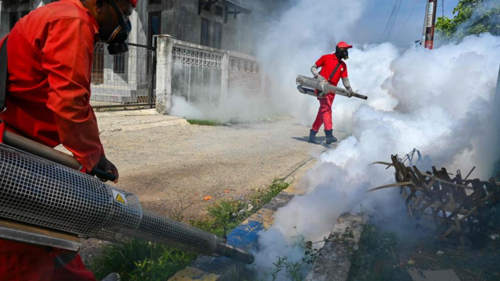 La dengue refait une inquiétante apparition au Bangladesh