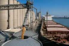 Blé tendre : le Maroc rétablit les droits d’importation pour deux mois avant une nouvelle suspension