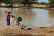 Près de 40% de l’eau y sont menacés: les catastrophes humaines qui risquent de submerger l’Afrique de l’Ouest