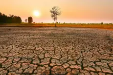 Le phénomène climatique El Niño officiellement de retour