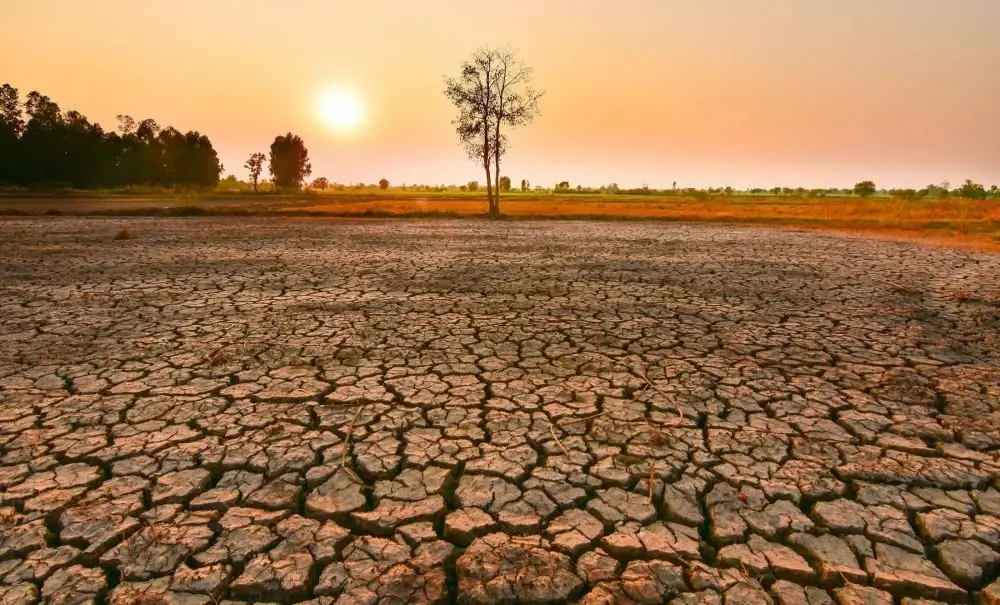 Le phénomène climatique El Niño officiellement de retour
