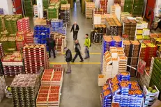 Services marchands et commerce de gros : Une activité contrastée au premier trimestre
