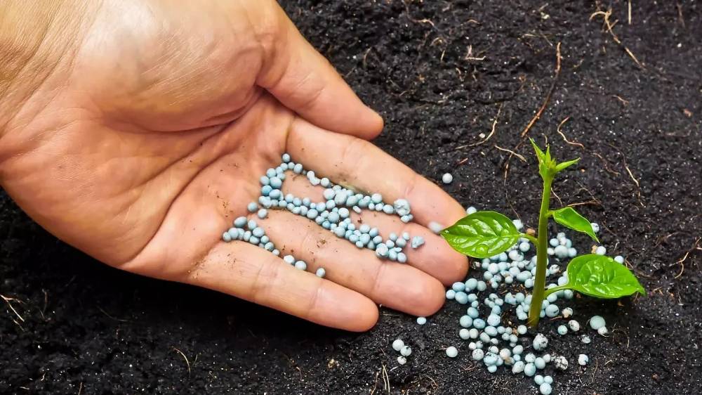 Engrais phosphatés : Washington appelé à revoir sa position sur les importations marocaines