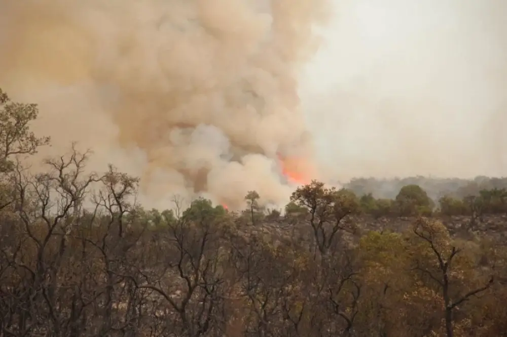 Feux de forêts : l’ANEF place 20 provinces en alerte rouge