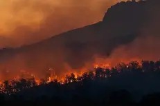 France - Feux de forêt : Six départements du sud et de l'ouest en alerte