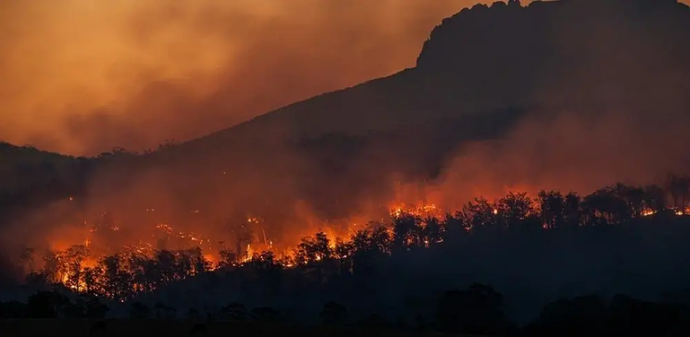 France - Feux de forêt : Six départements du sud et de l'ouest en alerte