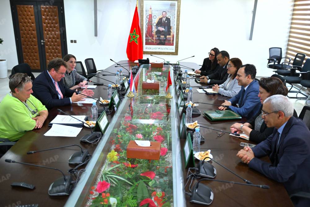 Maroc/Pays-Bas : MM. Sekkouri et Nieuwenhuis discutent du renforcement du partenariat stratégique pour le développement des compétences et de l’emploi