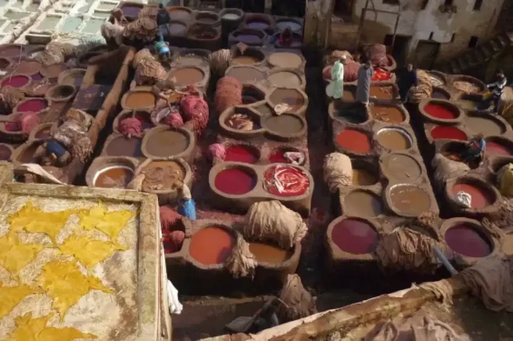 Pollution des tanneries : Fès veut mettre à niveau de sa station de déchromatation