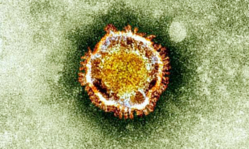 Coronavirus: un 4e mort en France sur 204 cas confirmés