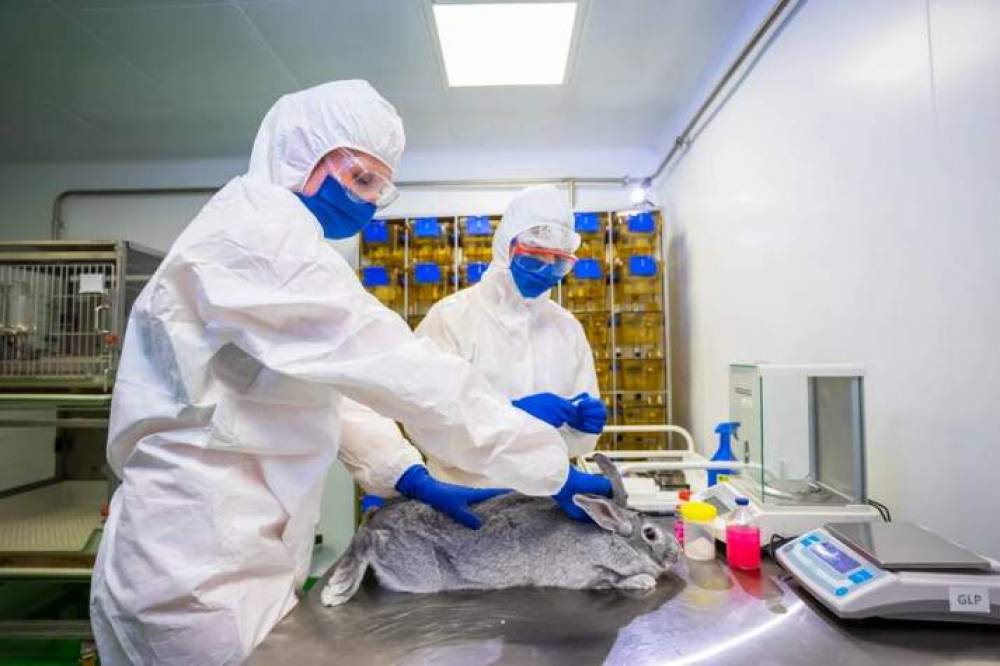 Homologation en Russie du premier vaccin anti-Covid pour animaux