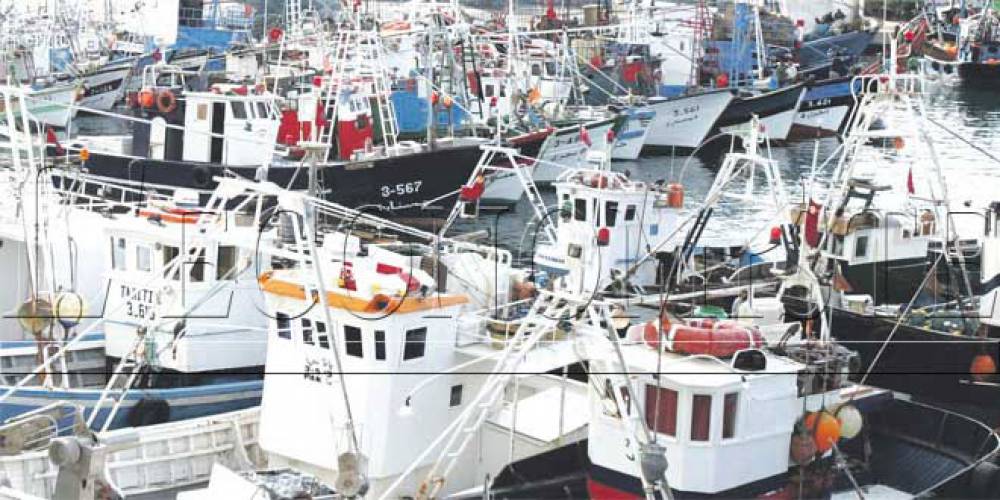 Pêche: Le Pays basque prospecte au Maroc