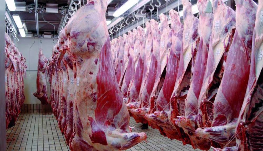 Viandes rouges : la filière a généré un chiffre d’affaires de 27 milliards de DH