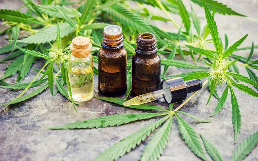 Cannabis médical : ce que va gagner le Maroc à l’échelle internationale