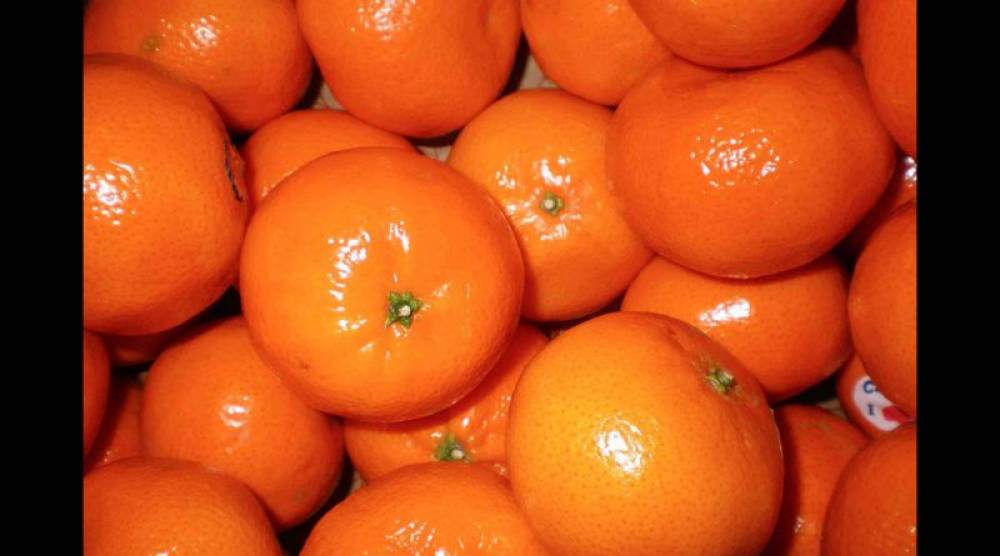 Le Maroc est le 3ème exportateur mondial de mandarines