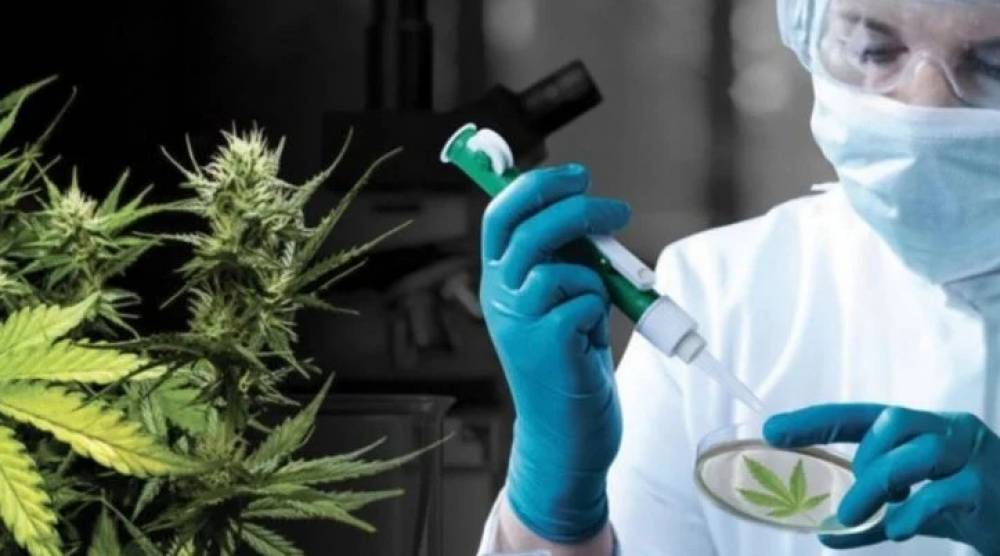 L’Exécutif tentera jeudi de dépénaliser le cannabis quitte à en fâcher les Frères