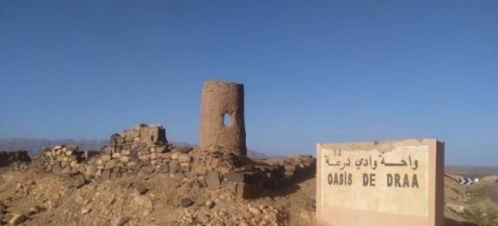 Maroc : Le palmier se meurt au Drâa