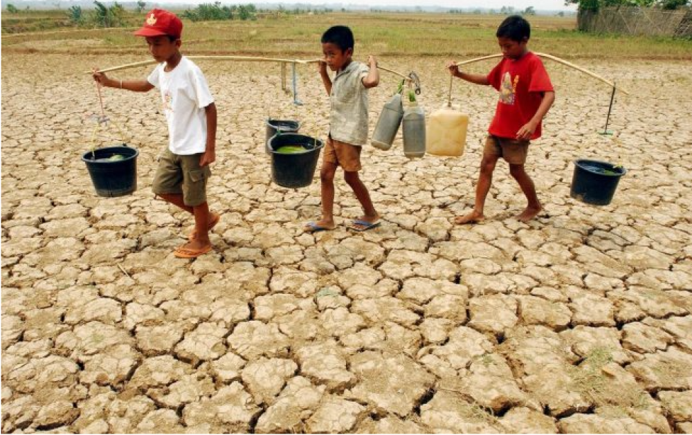 Afrique australe : les pays les plus touchés par le changement climatique reçoivent moins de financement (Institut)