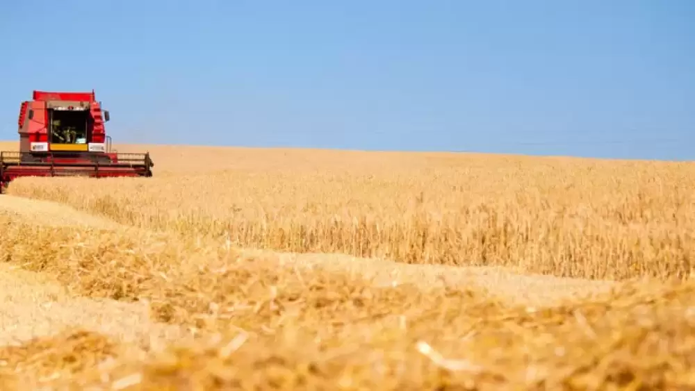 La Russie limite les exportations de céréales vers plusieurs républiques ex-soviétiques