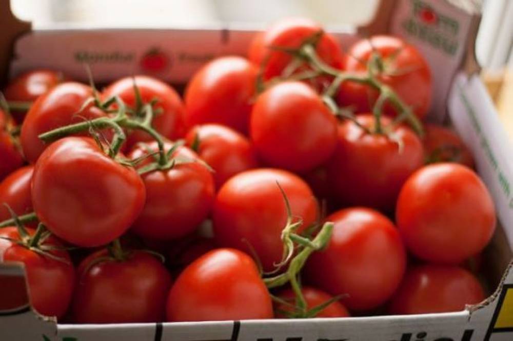 Tomates : La hausse des prix serait la faute des intermédiaires, selon le gouvernement