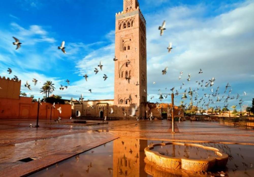 Marrakech recherche son futur exploitant du service du Transport Public