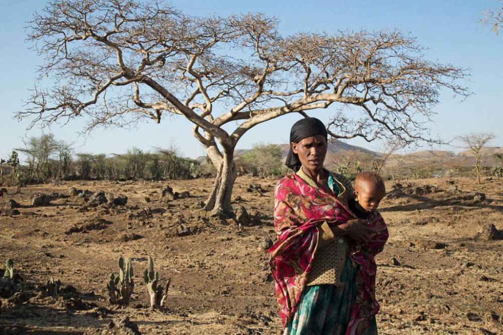 Ethiopie : 6,8 millions de personnes affectées par la sécheresse