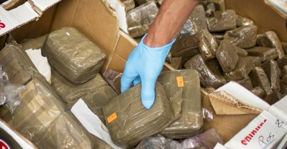 Trafic de drogue : Arrestation de trois individus en possession de 120 kilos de stupéfiants