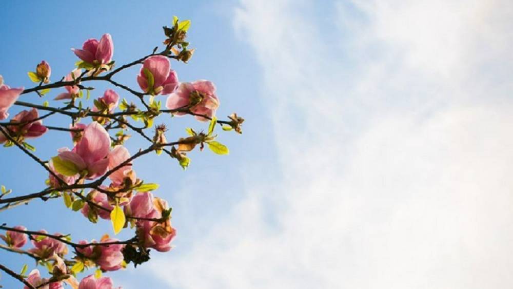 Voici le temps qu'il fera ce vendredi 24 mars au Maroc