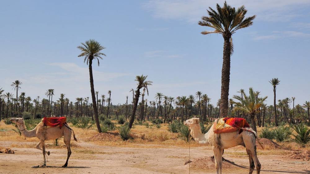 Météo : températures en légère hausse ce mardi 14 mars sur la majeure partie du Maroc