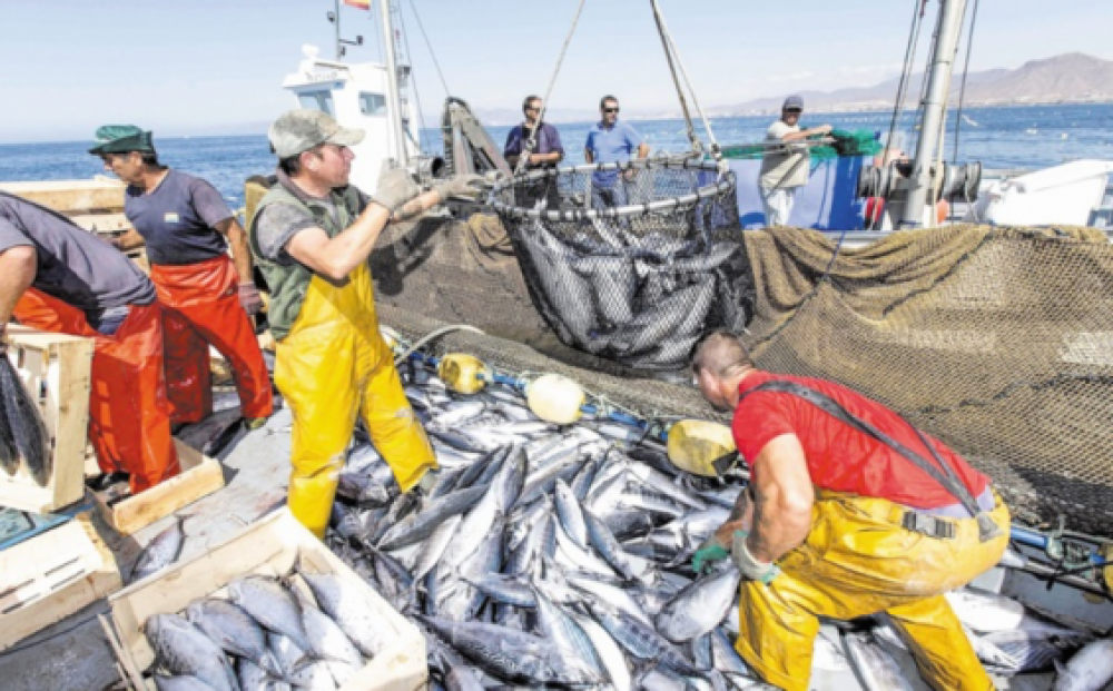 Accord de pêche Maroc-UE : La plainte du Polisario bloque de nouvelles négociations