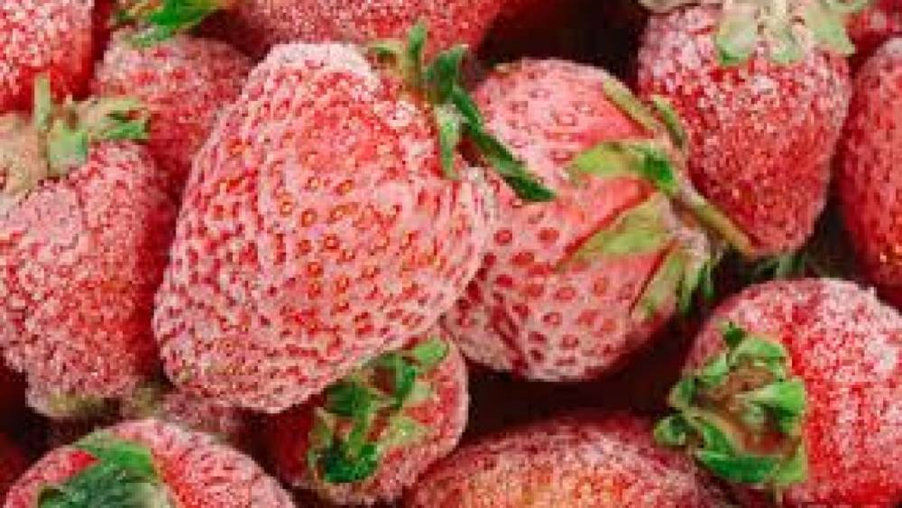 Exportations des fraises surgelées : le Maroc s’impose sur le marché australien