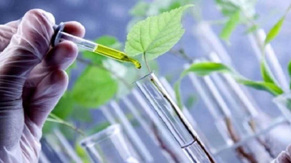 UE : Une série d'actions ciblées visant à stimuler la biotechnologie et la biofabrication