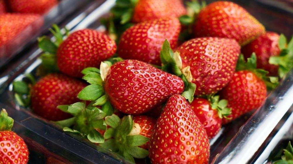 Sadiki dément les rumeurs sur la contamination des fraises marocaines à l'hépatite A