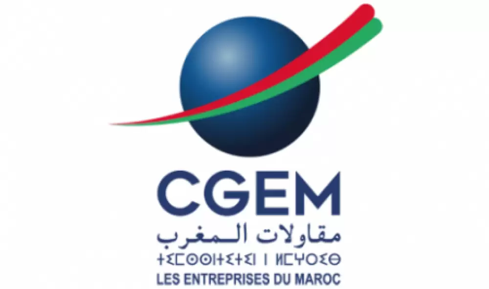 MICEPP-CGEM: réunion de concertation pour l'étude de l’alignement stratégique des CRI