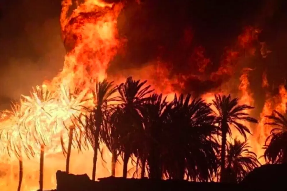 Province d’Errachidia: Un incendie ravage l’oasis Ouled Chaker
