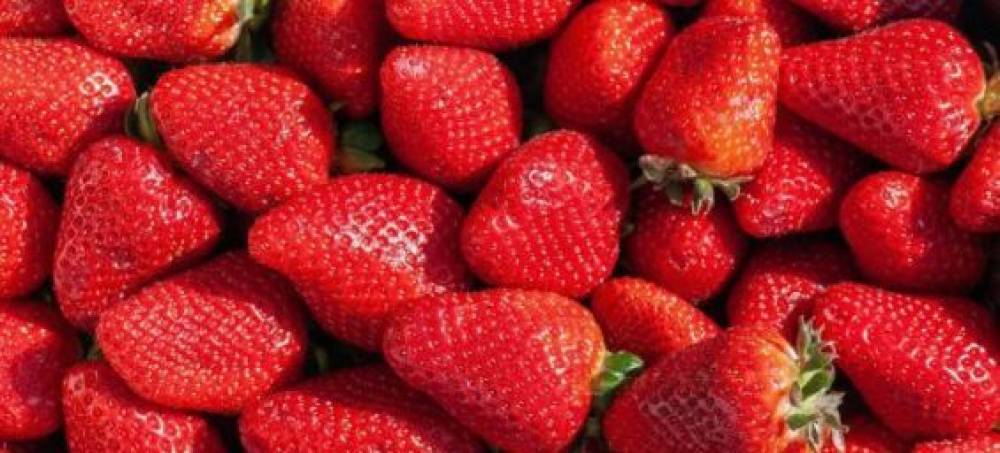 Espagne : Nouvelle alerte à l’hépatite A concernant des fraises du Maroc