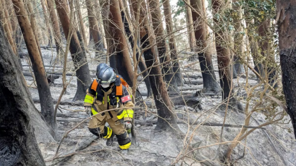 Japon: la pluie offre un répit face au pire incendie de forêt depuis 50 ans