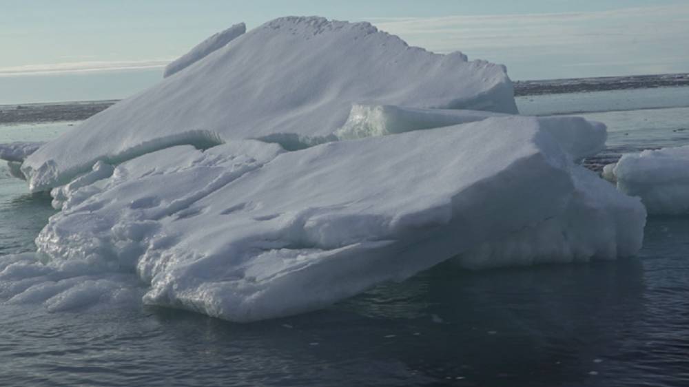 La fonte des glace pourrait ralentir un courant Antarctique vital, selon une étude