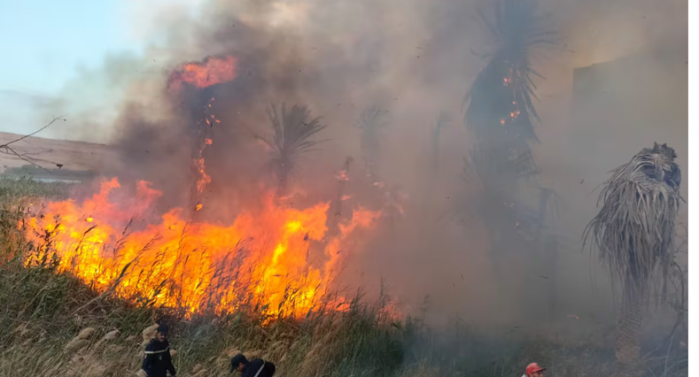 Laâyoune: un incendie ravage près de 3 hectares d’herbes sèches, aucune victime à déplorer