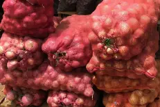 Légumes du Maroc détournés vers l'Algérie : la Mauritanie durcit le contrôle