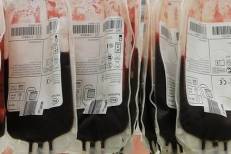 Don de sang: L'association AMAL dresse le bilan de la campagne de sensibilisation menée pendant le Ramadan