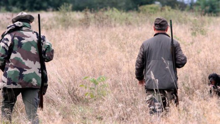 Les braconniers profitent du confinement pour massacrer les animaux