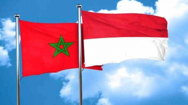 Maroc-Indonésie: une coopération pour lutter contre le Covid-19 en Afrique