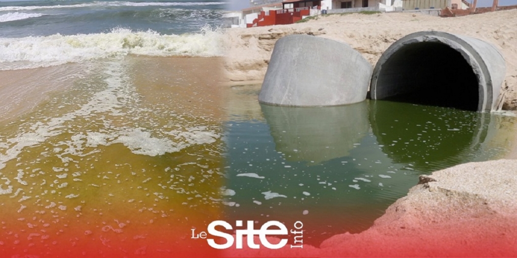 Casablanca: catastrophe écologique annoncée à la plage “Paloma” (VIDEO)