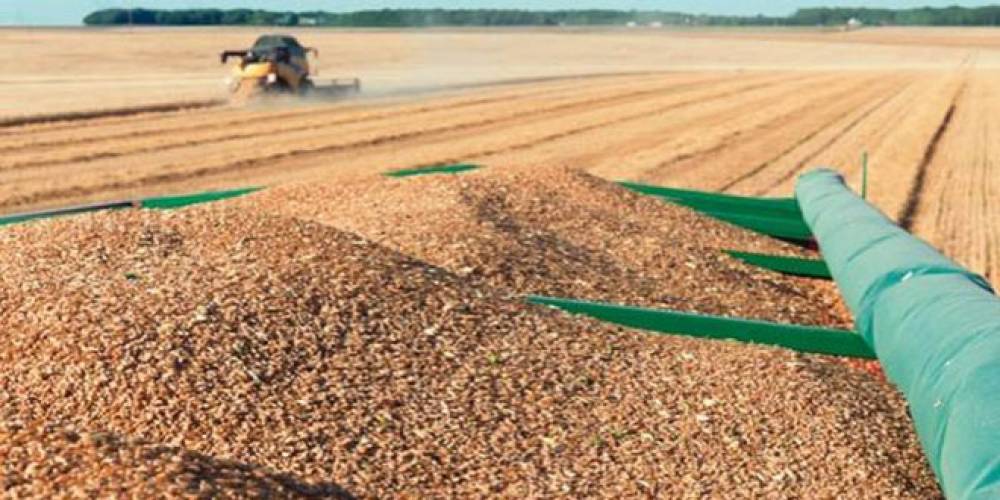 Blé tendre: Les droits d'importation à 135%