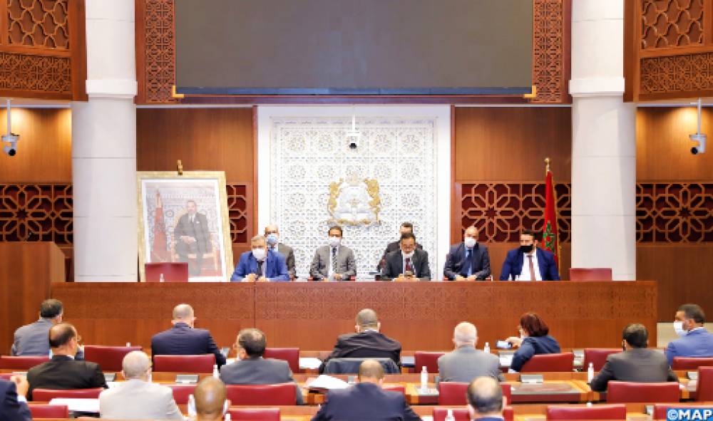 Cannabis légalisé: un chantier à fort potentiel au service d’une agriculture durable