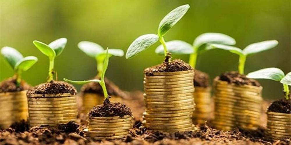 Entreprenariat vert: MITC et le Cluster solaire coopèrent