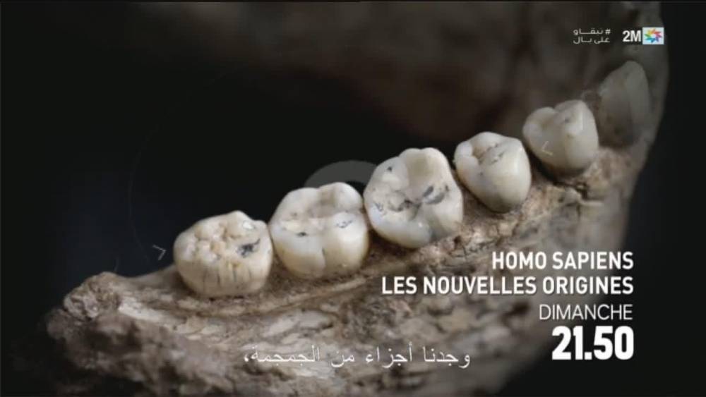 Documentaire: ‎"Homo Sapiens: les nouvelles origines" à voir ou à revoir en intégralité sur 2m.ma